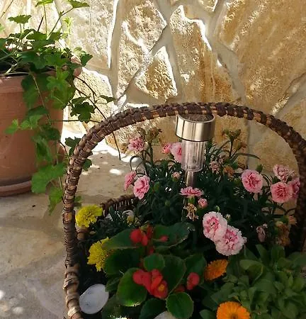 Feniks Διαμέρισμα