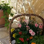 Feniks Appartement