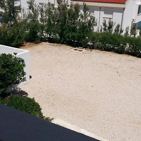 Feniks פג