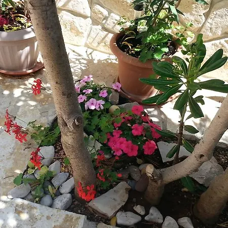 Appartamento Feniks *