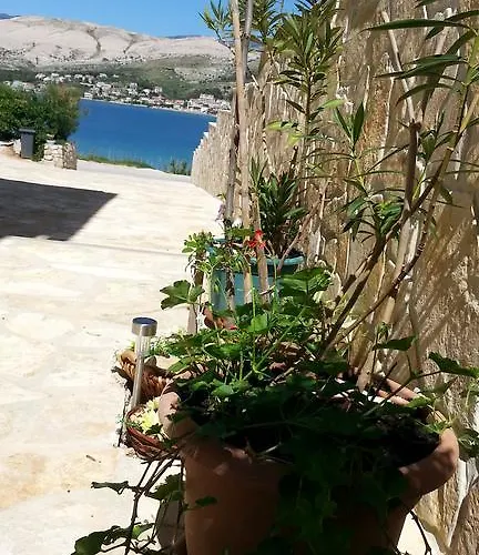 Apartment Feniks Pag Town